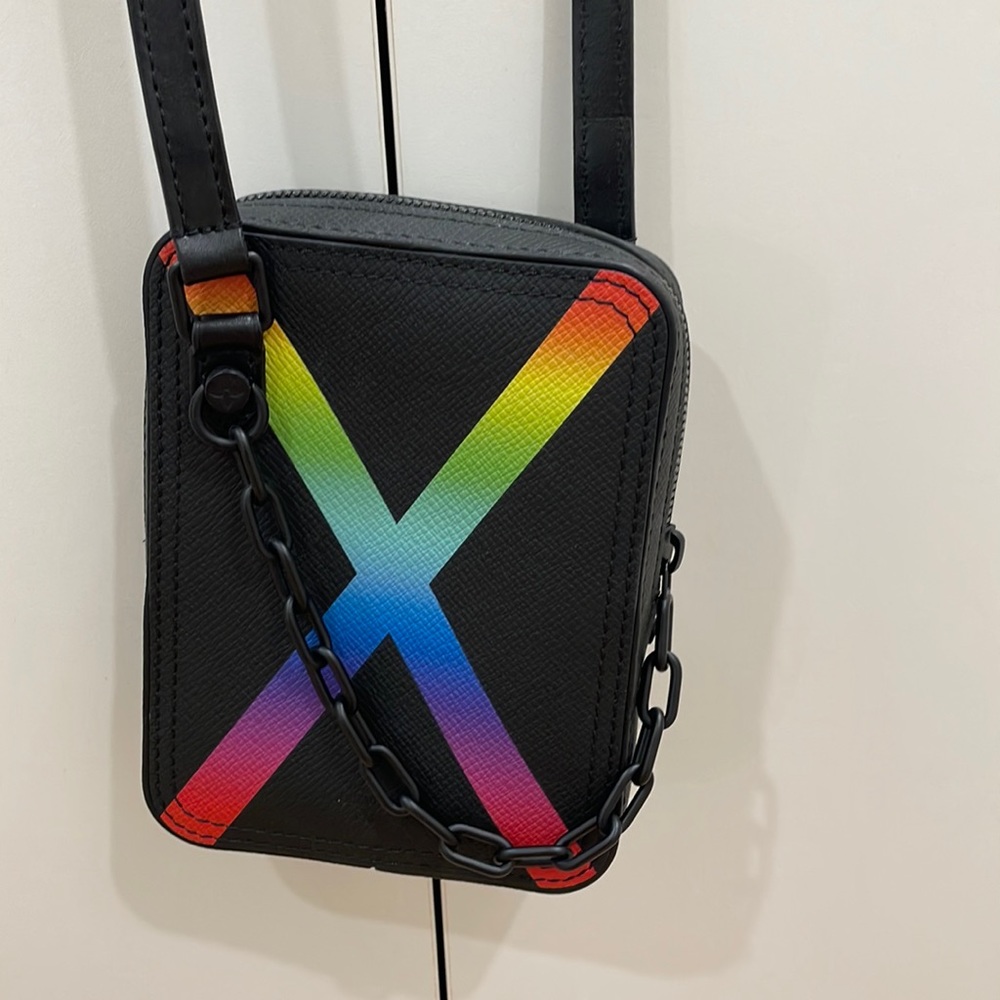 LV small leather bag